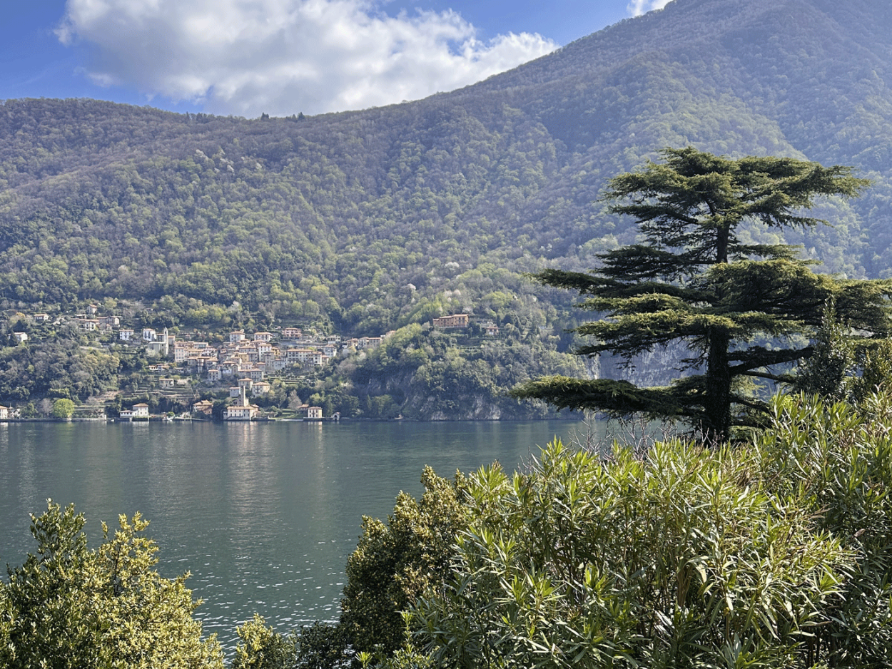 Inspiration for cedar artwork at Lake Como.